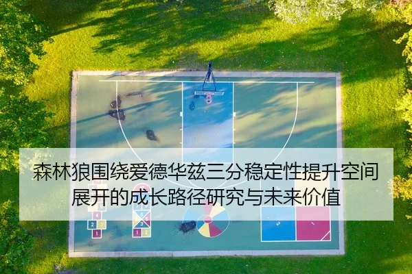 森林狼围绕爱德华兹三分稳定性提升空间展开的成长路径研究与未来价值